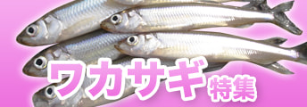 ワカサギ特集2022