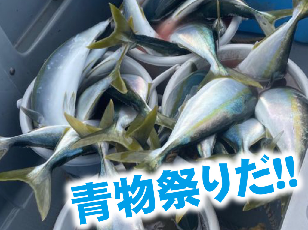 今ならジギングで誰でも釣れる!!】ブリにメジロにハマチなどがスーパー