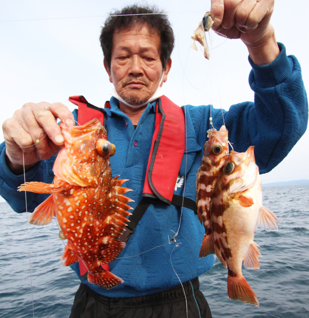 出船すれば土産は確実なイチオシの釣り!!】美味なオニカサゴや