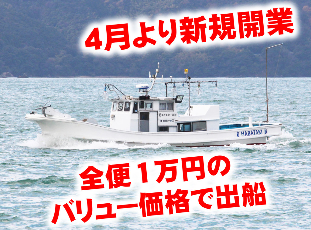 ジギング #タイラバ #スロージギング #スピネギ #SLJ #ルアー