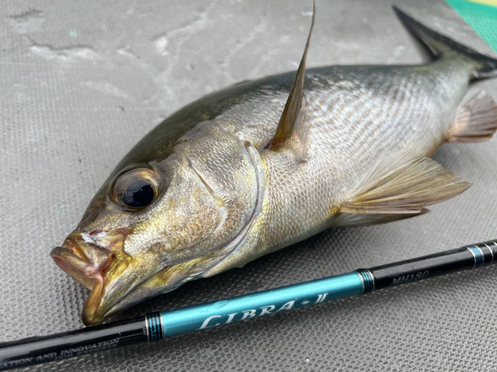 様々なジャンルの釣りを楽しみたい方に届ける、軽量＆高感度のロッド