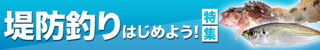 堤防釣りはじめよう！特集