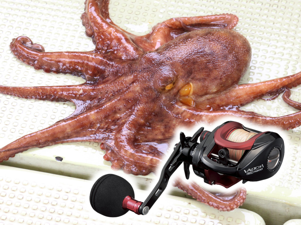 コスパ最強クラス、1万円でオツリがくる!!】初めての船タコ釣りに