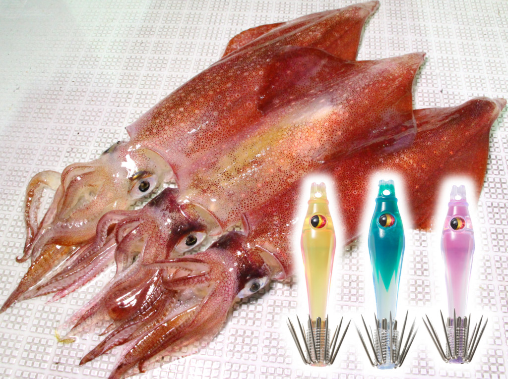 アピール力最強レベルのマルイカ用ツノ】キラメキ効果に混色で