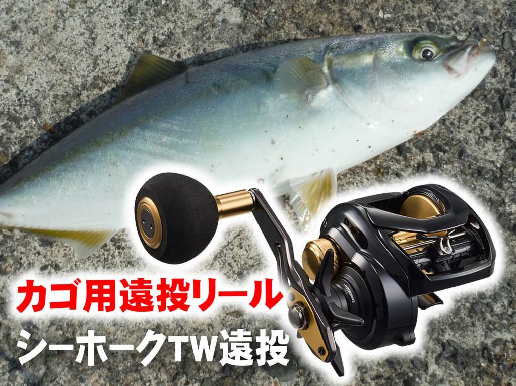ダイワ　ダイワ　カゴ釣り　遠投　両軸リール　シーホークtw！送料無料！ 新たな遠投カゴ釣り用リール発売！ダイワ『シーホーク TW 遠投