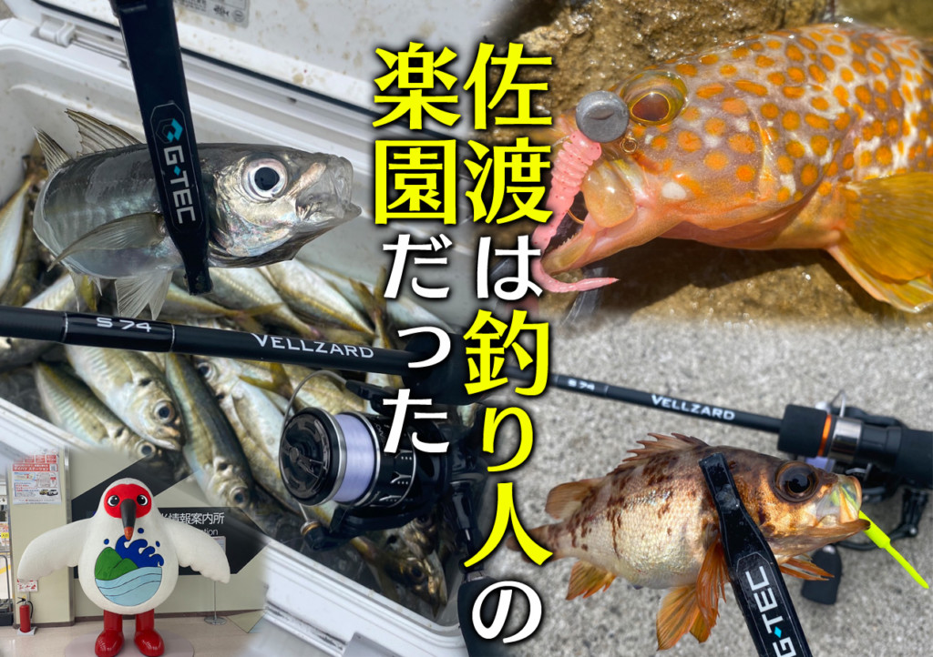 佐渡島、それは釣り人の楽園だった… – ニュース | つりそく（釣場速報）