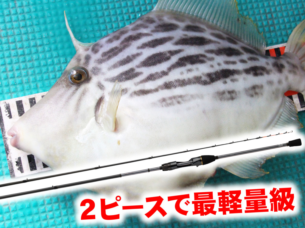高感度な穂先は調子が選べる4タイプ!!【2ピース最軽量級の