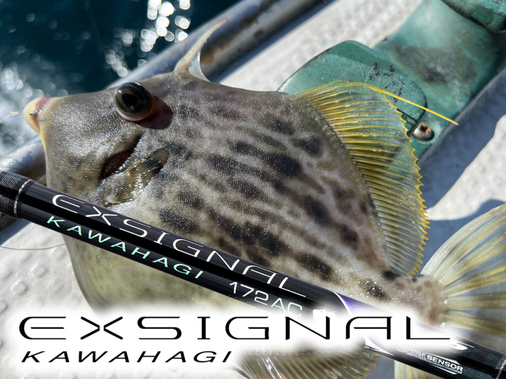 エクスシグナルカワハギ175AR#1ジャンク エクスシグナルカワハギ175AR