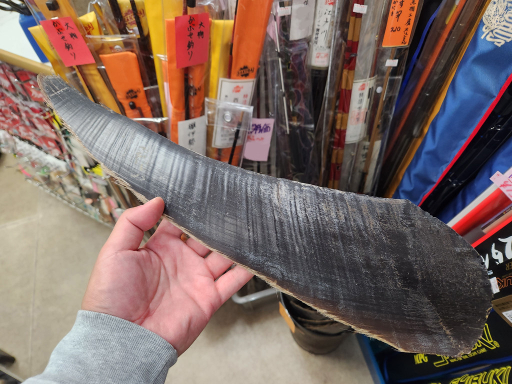 えっ、これクジラのヒゲ！？ 思ってたのと違う…コレが竿の穂先に