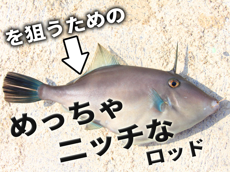 ウマヅラハギ専用!?】刺さる人には刺さるめっちゃニッチなロッド ウマヅラハギ専用!?】刺さる人には刺さるめっちゃニッチなロッド
