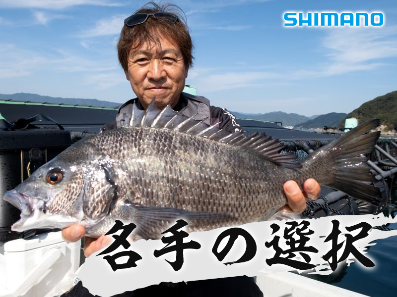 筏チヌロッドの穂先の調子はどう変えるのが正解？名手の考え方とは