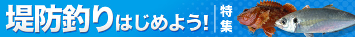 堤防釣りはじめよう！特集