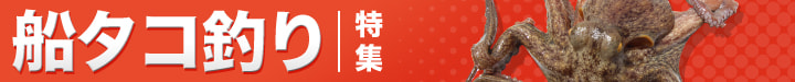 船タコ釣り特集