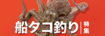 船タコ釣り特集2024