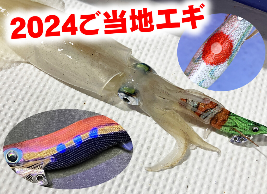 釣れる!!」と評判の“ご当地限定エギ”、山陰のシロイカに【2024は