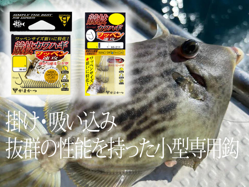 カワハギ 超面白くてハマる人が続出！ カワハギの小さなアタリも感じ取ることが