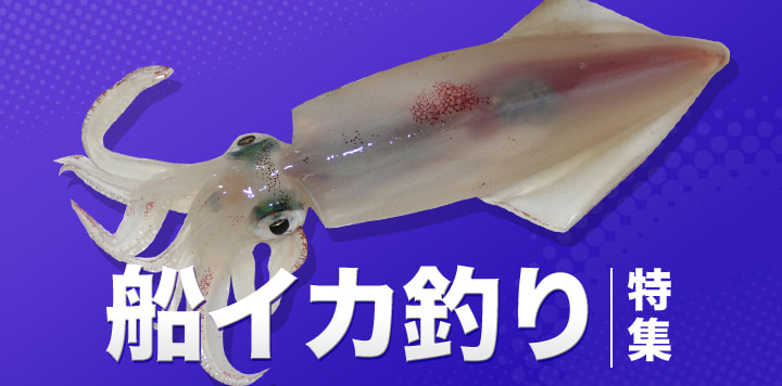船イカ釣り特集2024