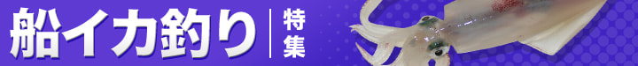 船イカ釣り特集
