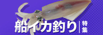 船イカ釣り特集2024