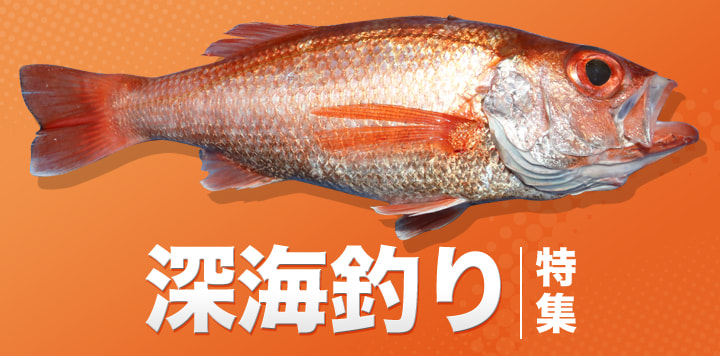深海釣り特集2024