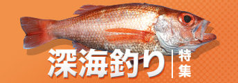 深海釣り特集2024