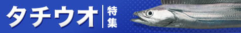タチウオ特集2024