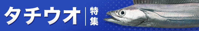 タチウオ特集