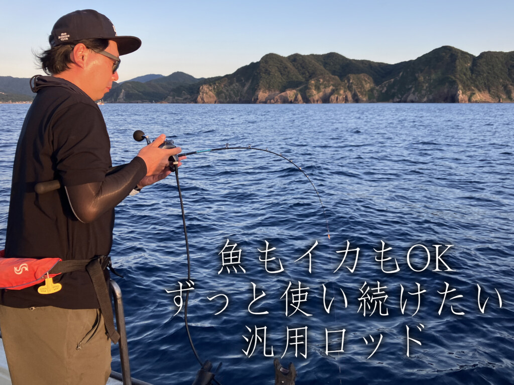 美しい 初めて買った船釣り汎用ロッドが万能過ぎて、次のロッドを買う ロッド