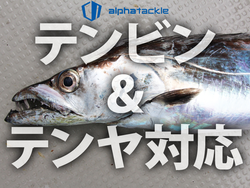 テンビンもテンヤもハイレベルにこなしてくれるタチウオロッド「24