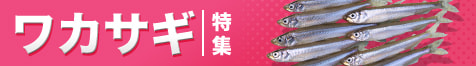 ワカサギ特集2024