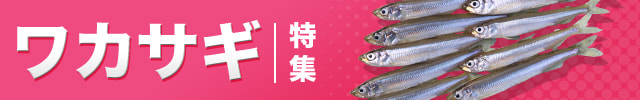 ワカサギ特集