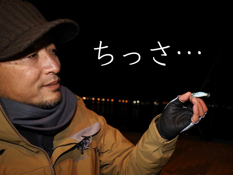 シマノのセフィアに超小さいエギ「セッピー 1.5号」が新たに