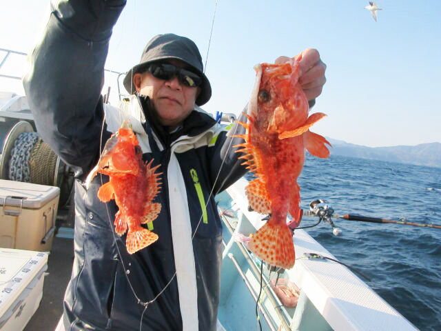 美味な高級魚、オニカサゴが2ケタの数釣りOK！ 湾内の筏では35cm級の