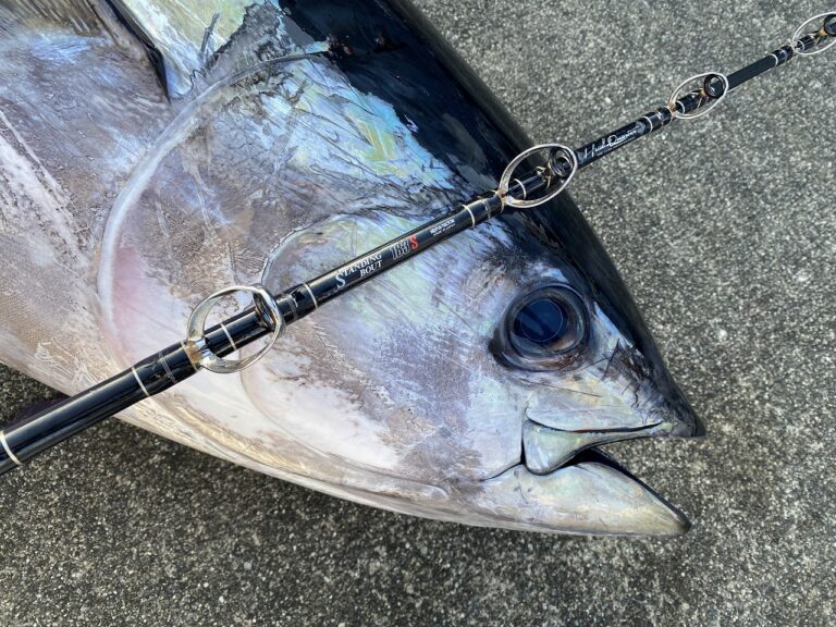 80kg超モンスターをはじめ、数々のキハダと出会わせてくれた 80kg超モンスターをはじめ、数々のキハダと出会わせてくれた