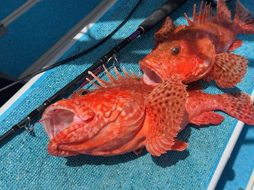 中深海ロッドに迷ったらコレ。エキスパートメーカーが作った一振りを