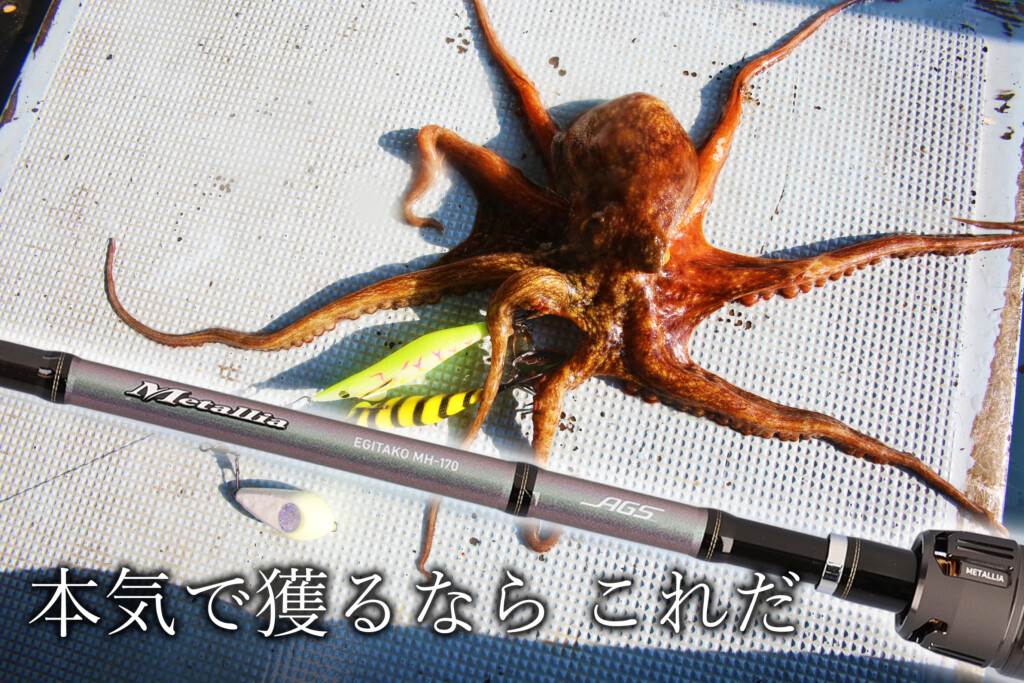 Amazon | ダイワ(DAIWA) 船竿 メタリアエギタコ MH-170・J