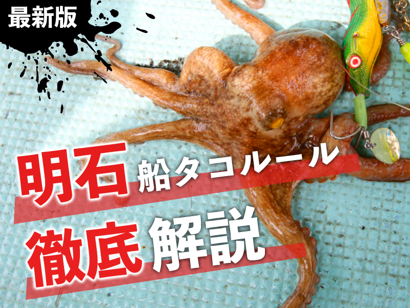 2025年最新版】明石船タコ釣りのルールが決定！ 釣行前に必ずチェック