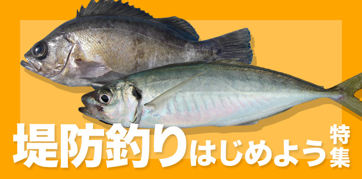堤防釣りはじめよう特集2025