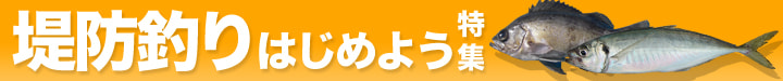 堤防釣りはじめよう特集