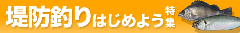 堤防釣りはじめよう特集2025