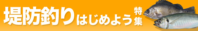 堤防釣りはじめよう特集