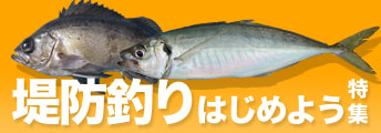 堤防釣りはじめよう特集2025