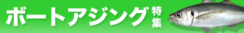 ボートアジング特集2025