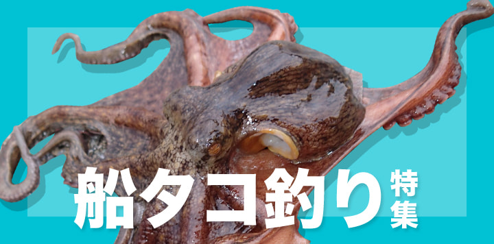 船タコ釣り特集2025