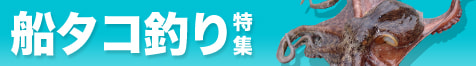 船タコ釣り特集2025