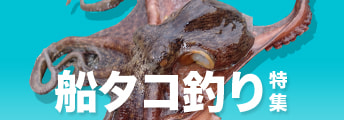 船タコ釣り特集2025