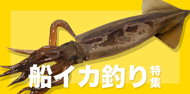 船イカ釣り特集2025