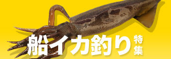船イカ釣り特集2025