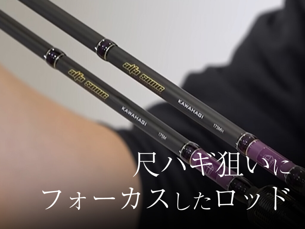 尺カワハギを釣りたい人にピッタリなロッド「25アルファソニック