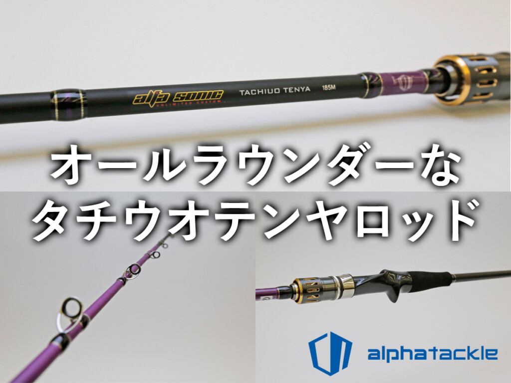 天候やフィールドを選ばず使えるオールラウンダーなロッド「25